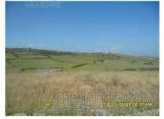 Foto IMMOBILI-ALTRA CATEGORIA-C.da chiusa, c.dagarita e c.da zizza