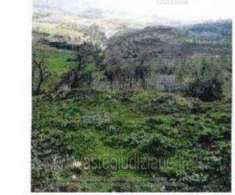 Foto IMMOBILI-ALTRA CATEGORIA-C.da montesano