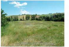 Foto IMMOBILI-ALTRA CATEGORIA-Contrada acquaviva, 60036 montecarotto an, italia