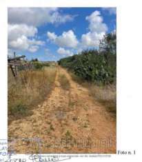 Foto IMMOBILI-ALTRA CATEGORIA-Contrada martucci, 70014 conversano ba, italia