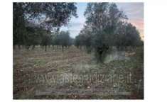 Foto IMMOBILI-ALTRA CATEGORIA-Contrada masseria nuova, 74024 manduria ta, italia