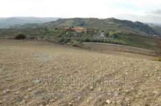 Foto IMMOBILI-ALTRA CATEGORIA-Contrada palladio strazzo tallarita