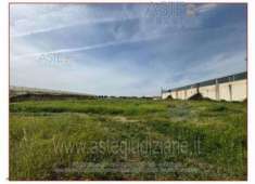 Foto IMMOBILI-ALTRA CATEGORIA-Contrada piantata