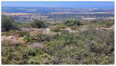 Foto IMMOBILI-ALTRA CATEGORIA-Contrada pulce