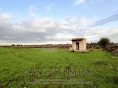 Foto IMMOBILI-ALTRA CATEGORIA-Contrada rafaschieri o caldarola - strada vicinale rafaschieri