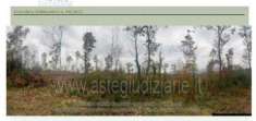 Foto IMMOBILI-ALTRA CATEGORIA-Contrada tempone del castello