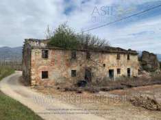 Foto IMMOBILI-ALTRA CATEGORIA-Forramoro e bulicata, strada vicinale case barelli,