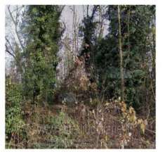 Foto IMMOBILI-ALTRA CATEGORIA-Frazione valvinera, 3, 14030 valvinera at, italia