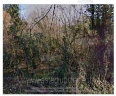 Foto IMMOBILI-ALTRA CATEGORIA-Frazione valvinera, 3, 14030 valvinera at, italia