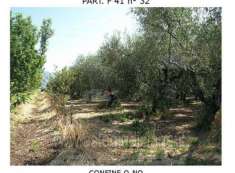 Foto IMMOBILI-ALTRA CATEGORIA-Loc. fico - strada vicinale senza nome