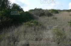 Foto IMMOBILI-ALTRA CATEGORIA-Loc. monte la noce