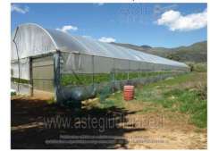 Foto IMMOBILI-ALTRA CATEGORIA-Loc. rene - via vicinale senza nome