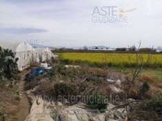 Foto IMMOBILI-ALTRA CATEGORIA-Localit  case parrilli