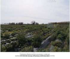 Foto IMMOBILI-ALTRA CATEGORIA-Localit  case parrilli