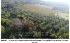 Foto IMMOBILI-ALTRA CATEGORIA-Localit  cicignano basso