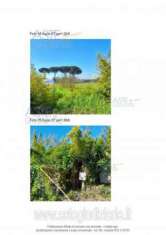 Foto IMMOBILI-ALTRA CATEGORIA-Localit  dogana