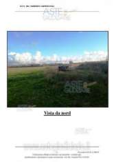 Foto IMMOBILI-ALTRA CATEGORIA-Localit  isola sacra - via castagnevizza 117