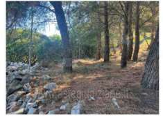Foto IMMOBILI-ALTRA CATEGORIA-Localit  la guardia
