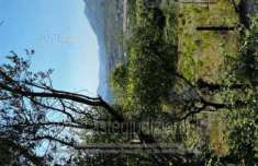 Foto IMMOBILI-ALTRA CATEGORIA-Localit  macchia visconti