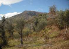Foto IMMOBILI-ALTRA CATEGORIA-Localit  montagna- orto del mulino