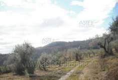 Foto IMMOBILI-ALTRA CATEGORIA-Localit  montagna- orto del mulino