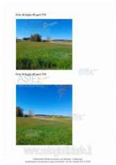 Foto IMMOBILI-ALTRA CATEGORIA-Localit  pantano, minturno