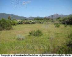 Foto IMMOBILI-ALTRA CATEGORIA-Localit  su parargiu