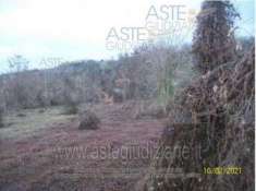 Foto IMMOBILI-ALTRA CATEGORIA-Localita' antolini snc