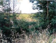 Foto IMMOBILI-ALTRA CATEGORIA-Localita' borgotrebbia, strada dell'aguzzafame snc