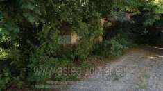 Foto IMMOBILI-ALTRA CATEGORIA-Localita' mezzano scotti - fraz. areglia snc