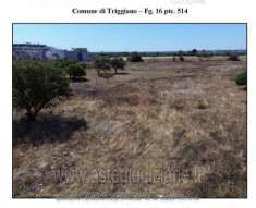 Foto IMMOBILI-ALTRA CATEGORIA-N.a.