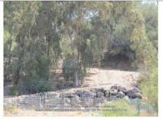 Foto IMMOBILI-ALTRA CATEGORIA-Sp13, motta sant'anastasia ct, italia