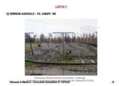 Foto IMMOBILI-ALTRA CATEGORIA-Strada calvatone volta mantovana c.m.