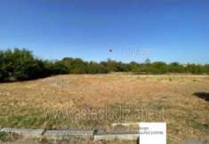 Foto IMMOBILI-ALTRA CATEGORIA-Via del pero, 57014 vicarello li, italia