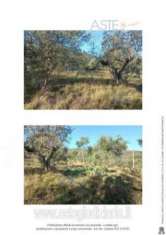 Foto IMMOBILI-ALTRA CATEGORIA-Via fissa o madonnone, 51039 quarrata pt, italia