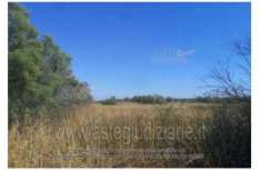 Foto IMMOBILI-ALTRA CATEGORIA-Via idra