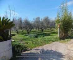 Foto IMMOBILI-ALTRA CATEGORIA-Via jugoslavia, 03011 alatri fr, italia