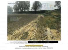 Foto IMMOBILI-ALTRA CATEGORIA-Via monticelli d'ongina  snc