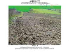 Foto IMMOBILI-ALTRA CATEGORIA-Via nd