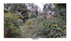 Foto IMMOBILI-ALTRA CATEGORIA-Via paradiso 15