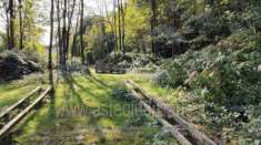 Foto IMMOBILI-ALTRA CATEGORIA-Via per boleto, 28894 pella no, italia