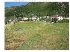 Foto IMMOBILI-ALTRA CATEGORIA-Via rene/ via ponte rotto