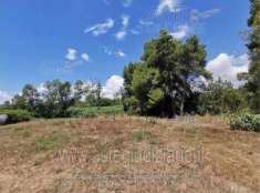 Foto IMMOBILI-ALTRA CATEGORIA-Via silvestrelli