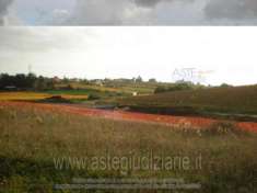 Foto IMMOBILI-ALTRA CATEGORIA-Via vigne nuove a confine con s.p. di ardea , strada vecchia di nettuno