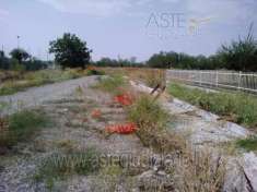 Foto IMMOBILI-ALTRA CATEGORIA-Via vignola snc
