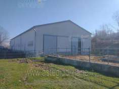 Foto IMMOBILI-IMMOBILE COMMERCIALE-Contrada cauzaro, 86014 cauzaro cb, italia