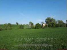 Foto IMMOBILI-IMMOBILE COMMERCIALE-Localit  fondiglie di san giovanni