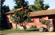 Foto IMMOBILI-IMMOBILE COMMERCIALE-Strada statale nettunense