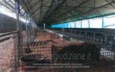 Foto IMMOBILI-IMMOBILE COMMERCIALE-Via colle della mandola, 06050 collazzone pg, italia