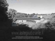 Foto IMMOBILI-IMMOBILE INDUSTRIALE-Frazione sambucetole, strada provinciale 38 snc